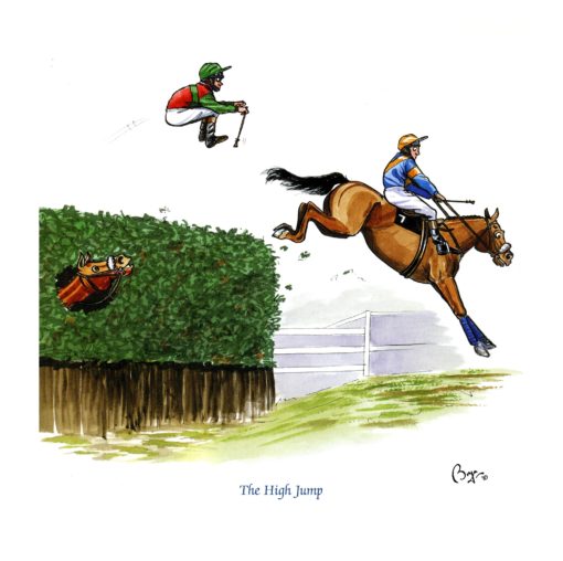 Bryn Parry Large Cards