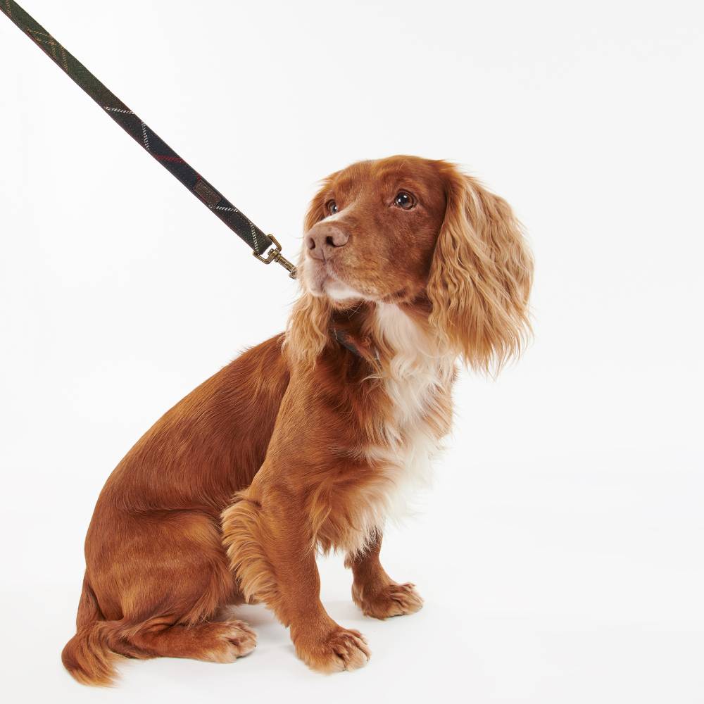 Barbour Leather Dog Lead (Classic Tartan)