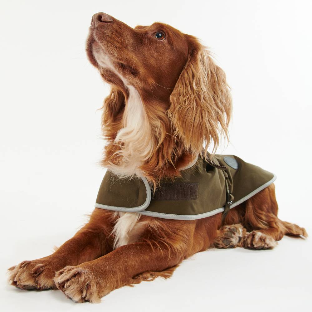 Waterproof Dog Coat with Corduroy Collar