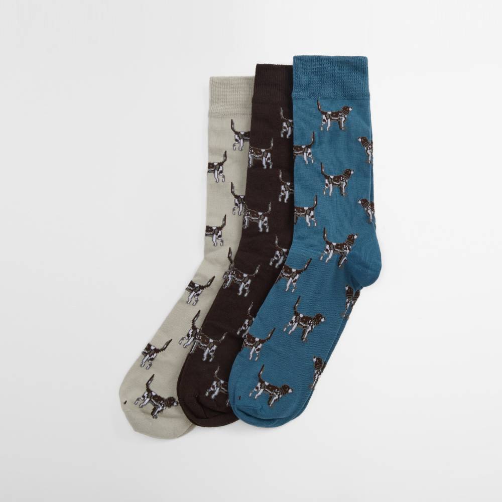 Pack of 3 Socks with Pointer Dog Design