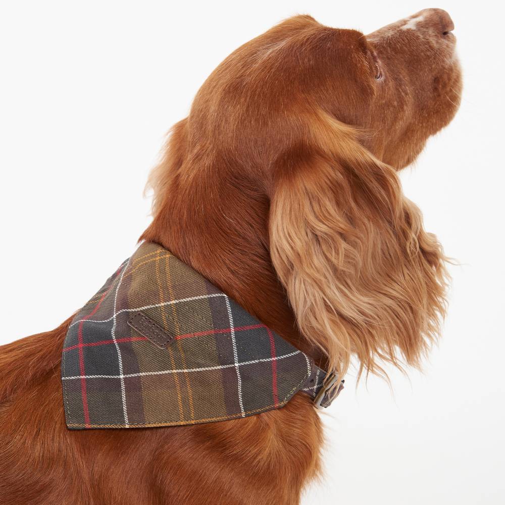 Plaid Bandana for Dogs from Barbour