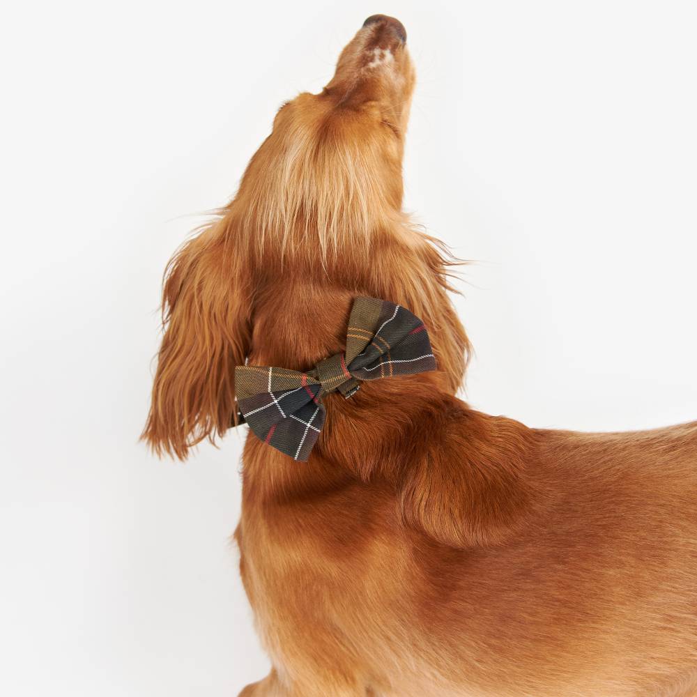 Dog Bowtie in Classic Tartan by Barbour