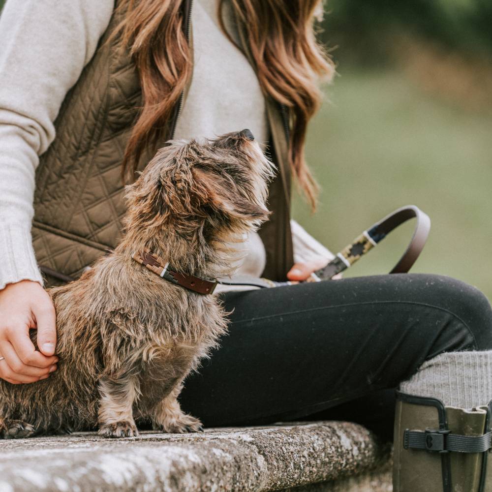 Pampeano Dog Lead (Caza)