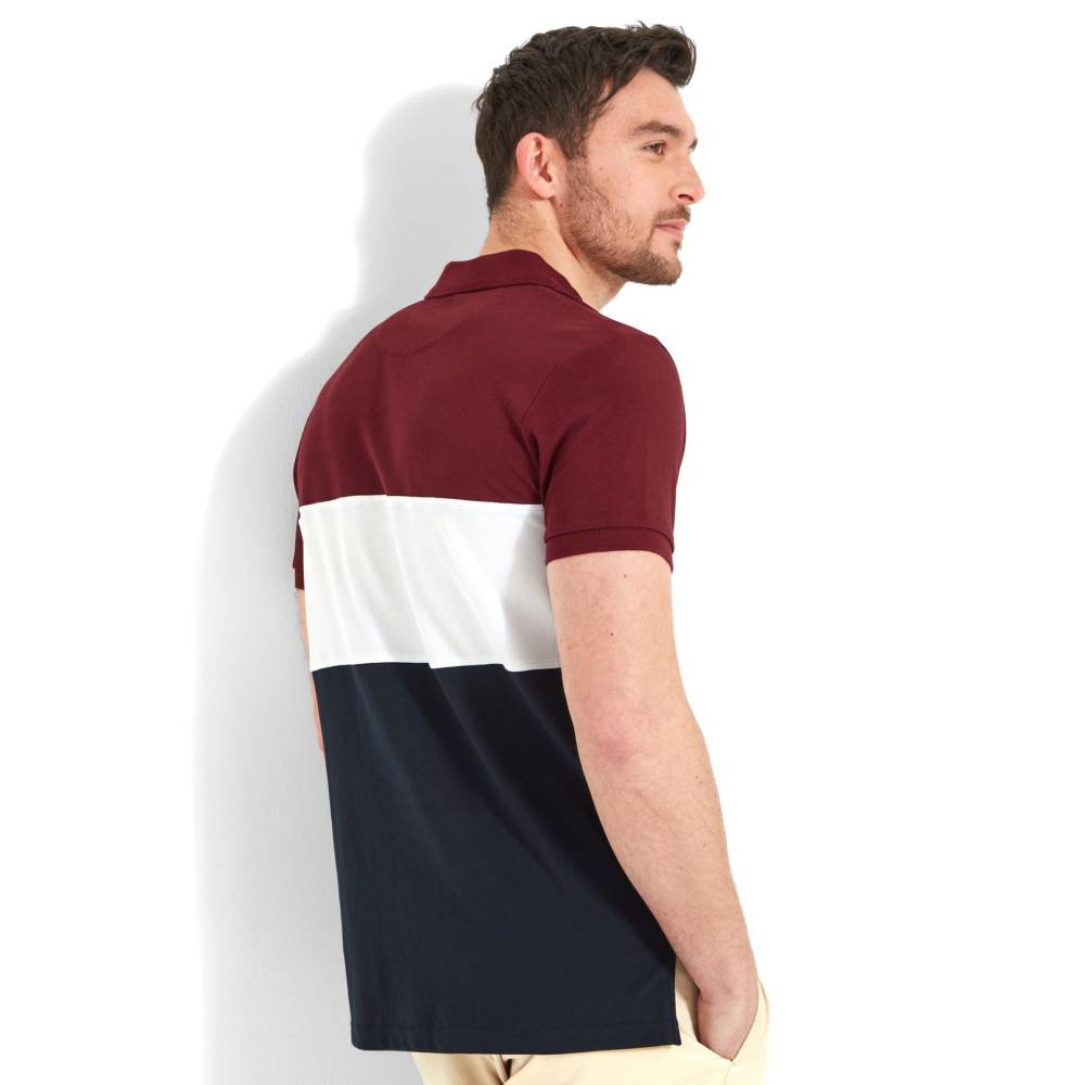 Cotton Polo Top with Tailored Fit