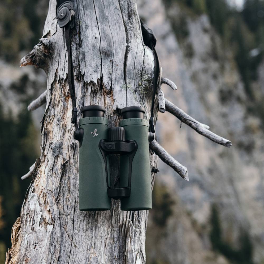 Swarovski EL Range 10x42 Binoculars