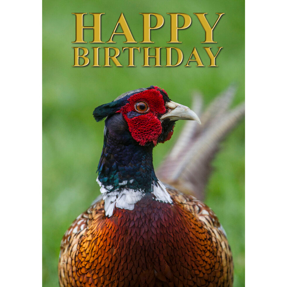 Photograph Greeting Cards By CSP