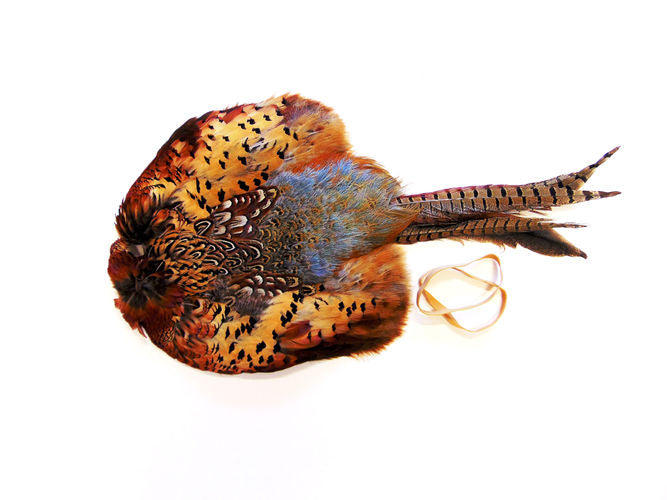 Pheasant Skin Pelt By Bisley