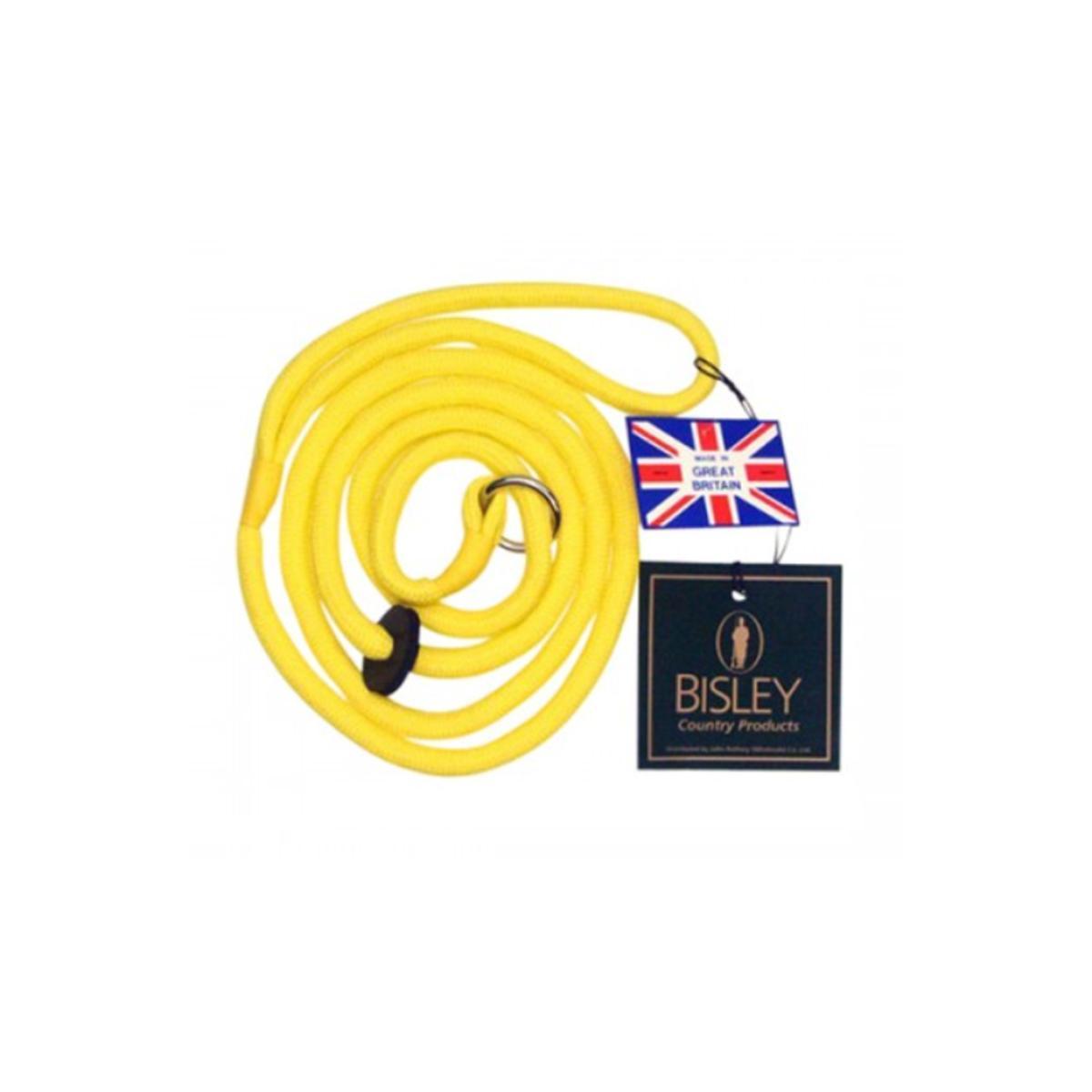Loose Yellow Braid Dog Slip Lead