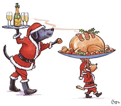 Christmas Card Pack of 8