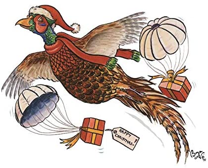 Christmas Card Pack of 8