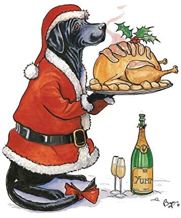 Christmas Card Pack of 8