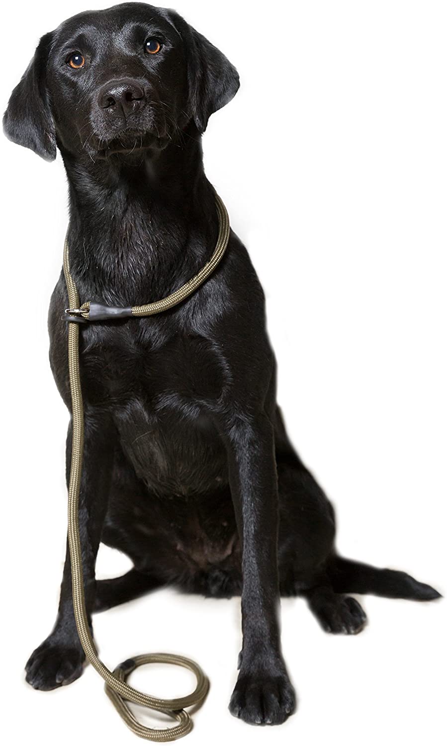 Loose Green Braid Dog Slip Lead