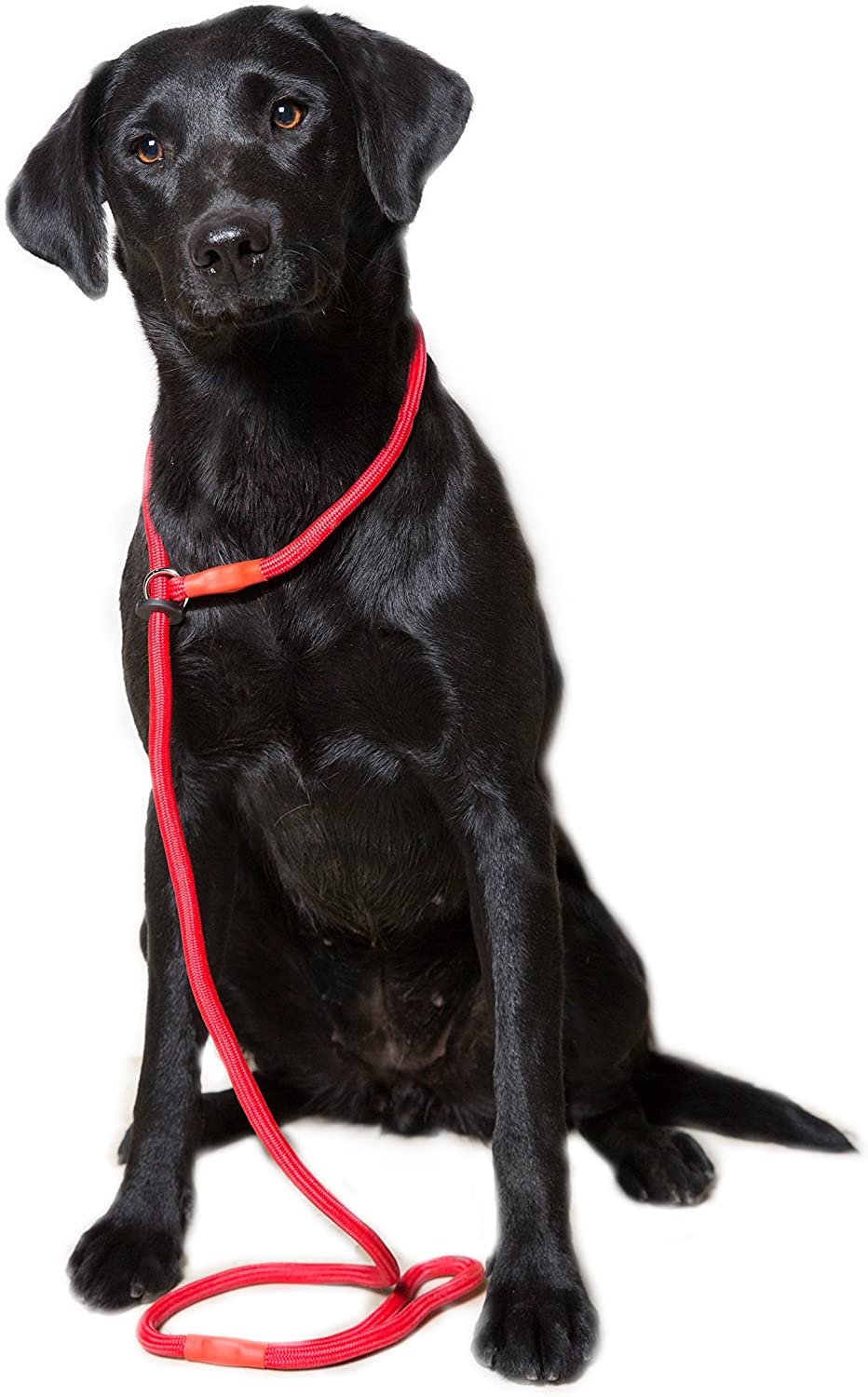 Loose Red Braid Dog Slip Lead