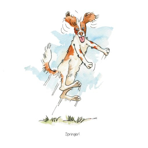 Assortment of A5 greeting cards by Farm Cottage Brands