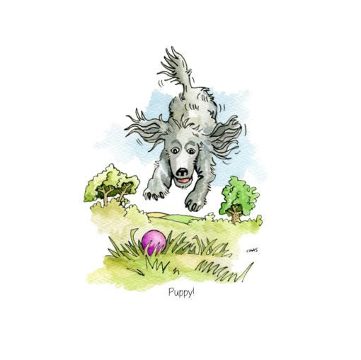 Assortment of A5 greeting cards by Farm Cottage Brands