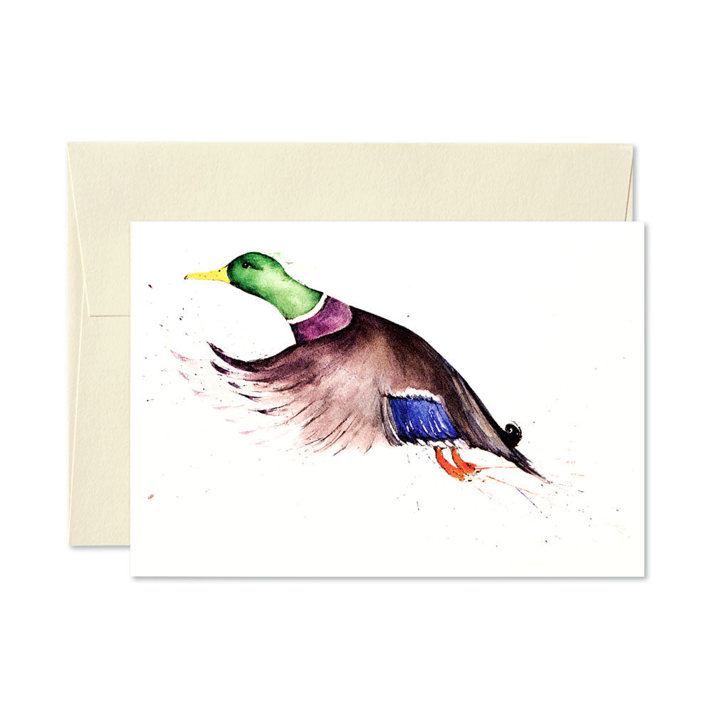 Clare Brownlow Cards