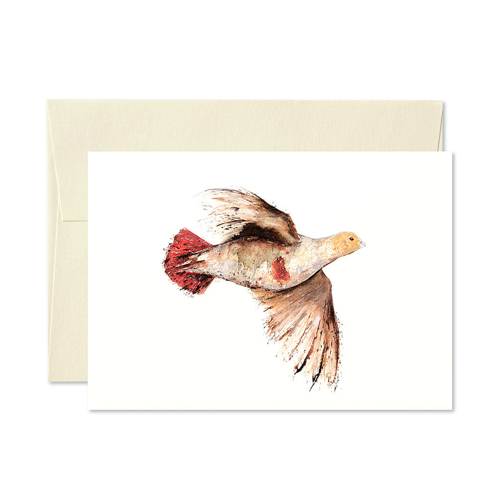 Clare Brownlow Cards