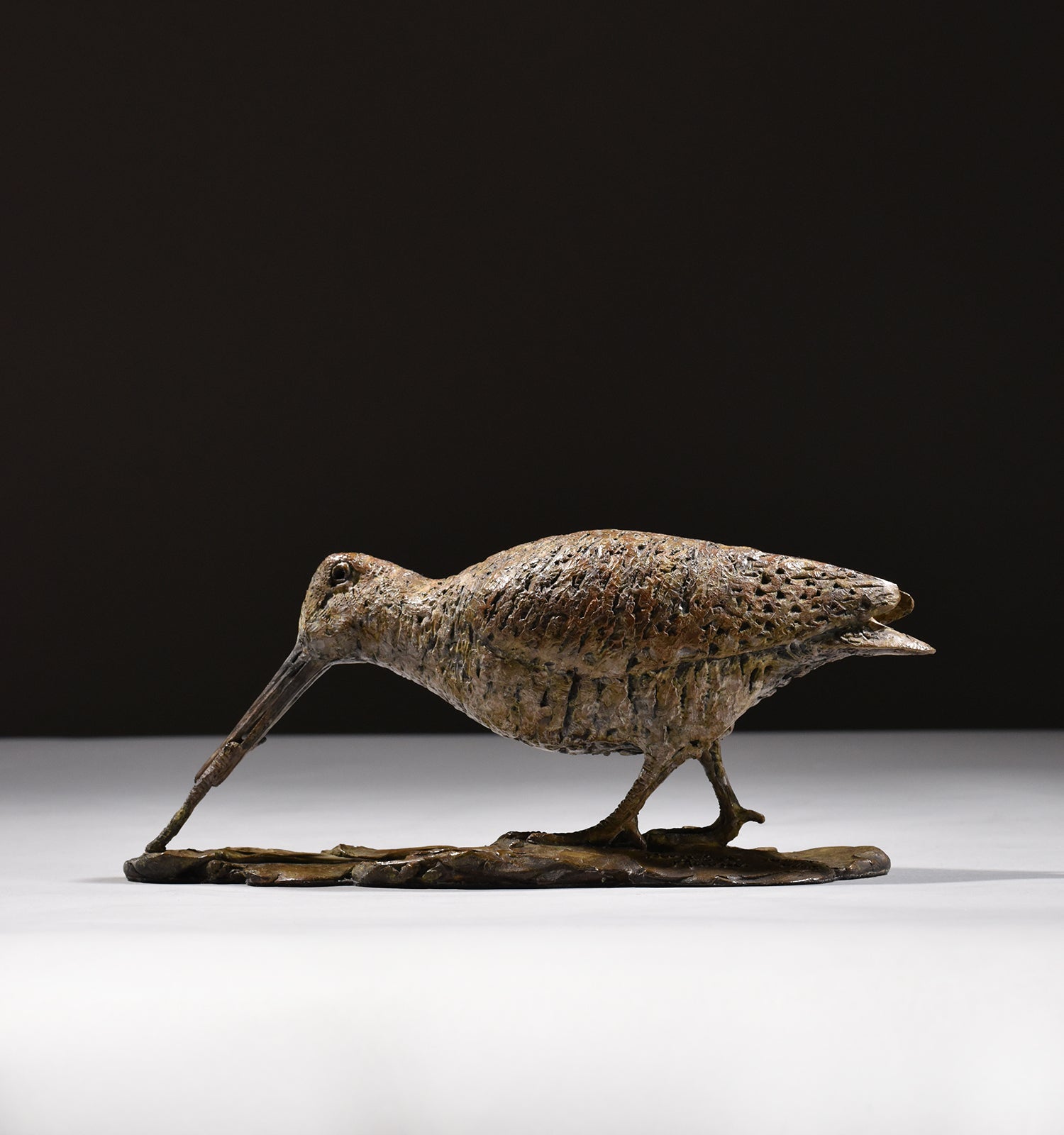 Woodcock Eating Worm - 2019