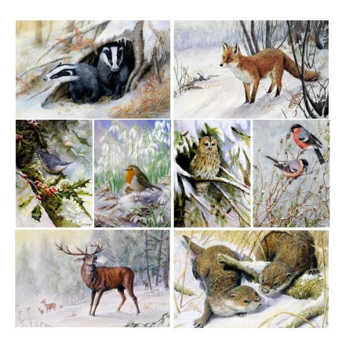 8 Wildlife Christmas Cards