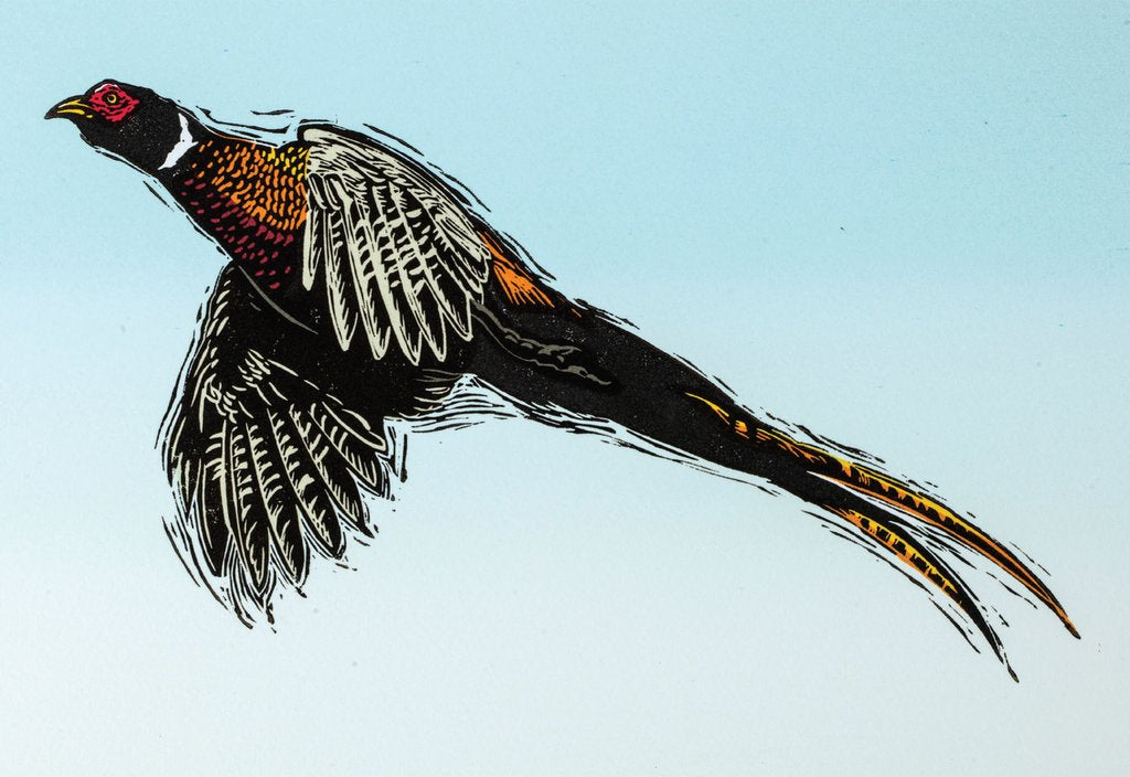 Greetings Cards By Colin Blanchard