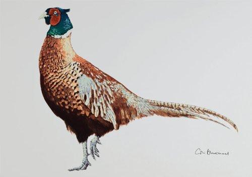 Greetings Cards By Colin Blanchard
