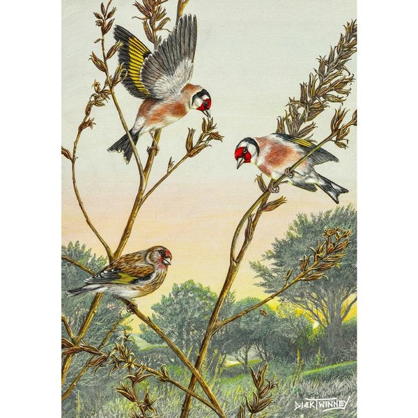 Dick Twinney Cards