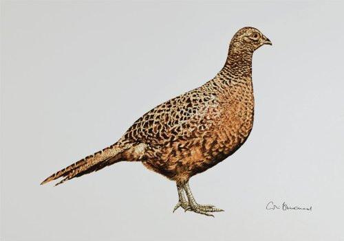 Greetings Cards By Colin Blanchard