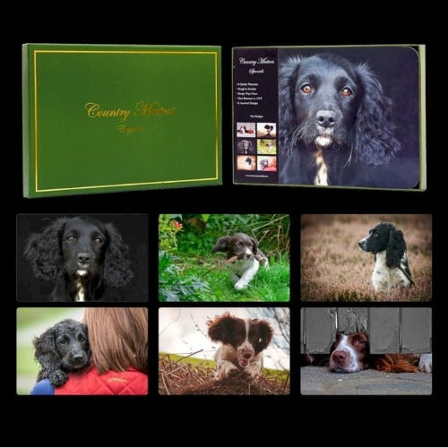 Placemats (Set of 6)