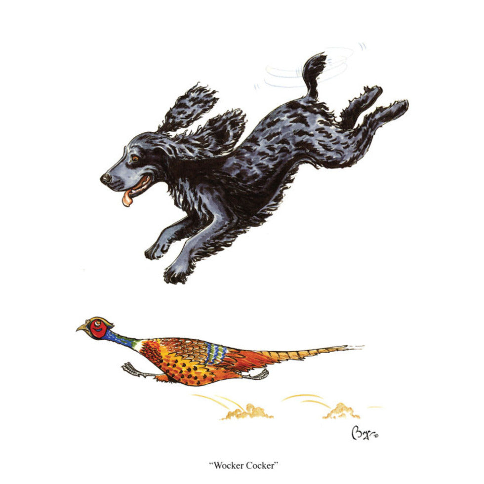 Bryn Parry Cards