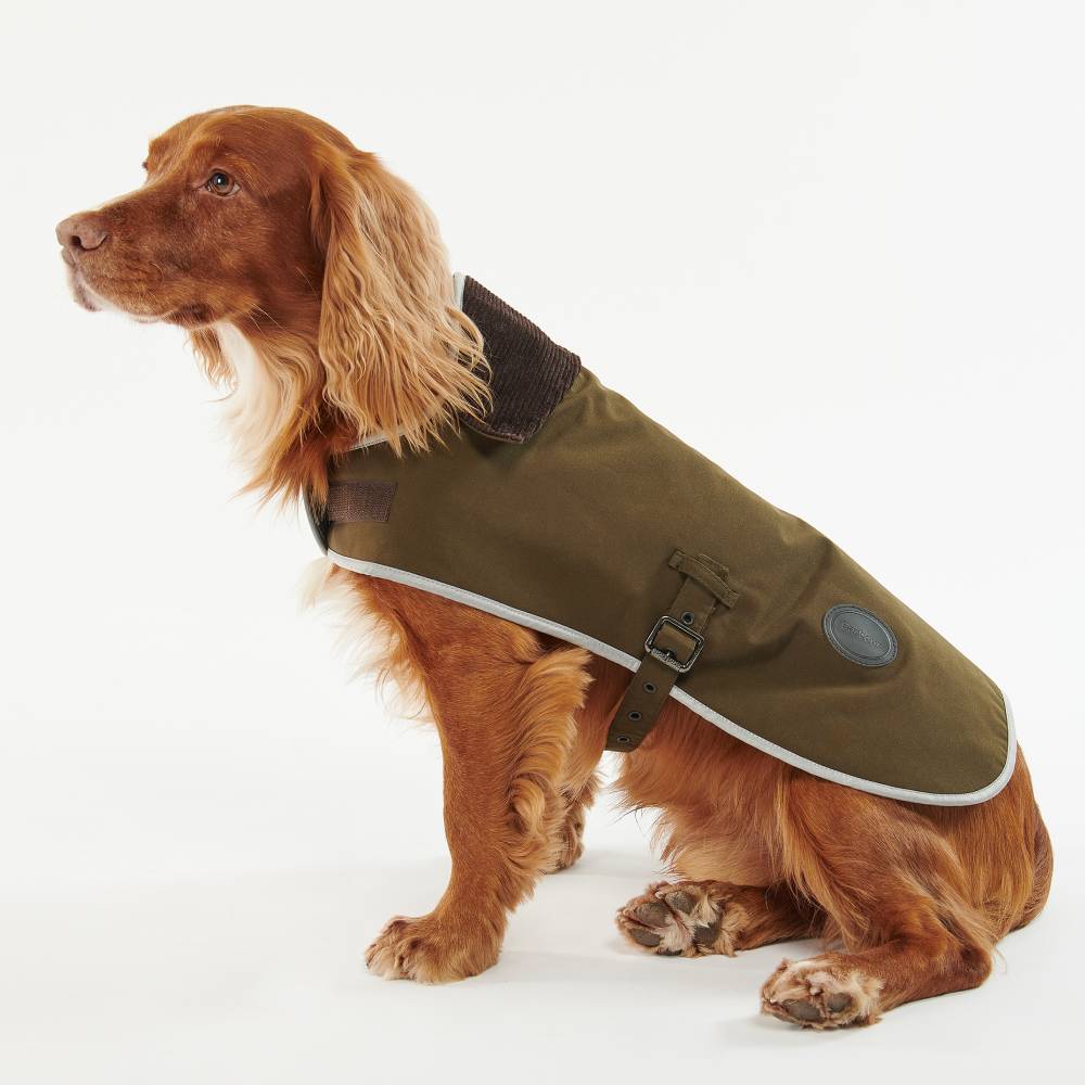 Olive Green Dog Coat with Buckle Fastening