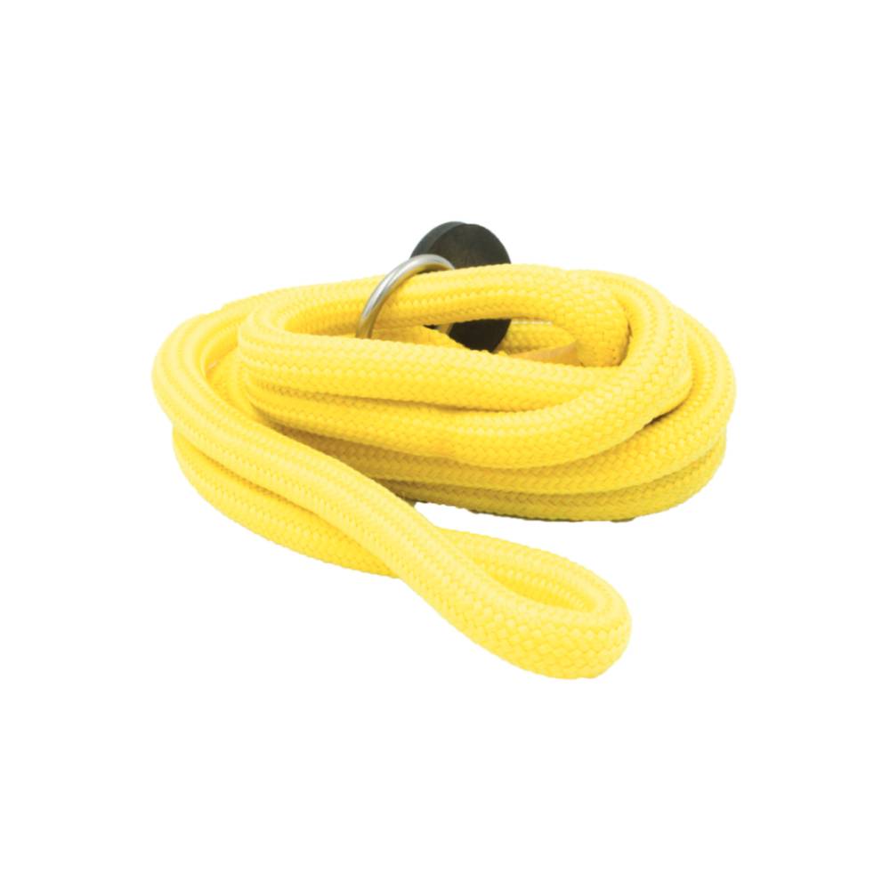 Bisley Compact Dog Slip Lead