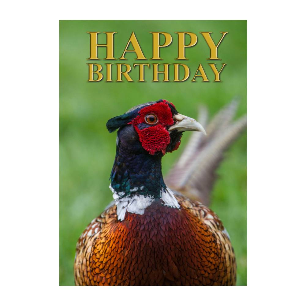 Charles Sainsbury Plaice Photograph Greeting Cards