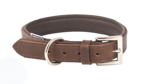 Leather Dog Collar - Padded