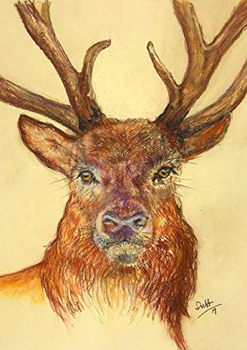 Assortment of A5 greeting cards by Farm Cottage Brands
