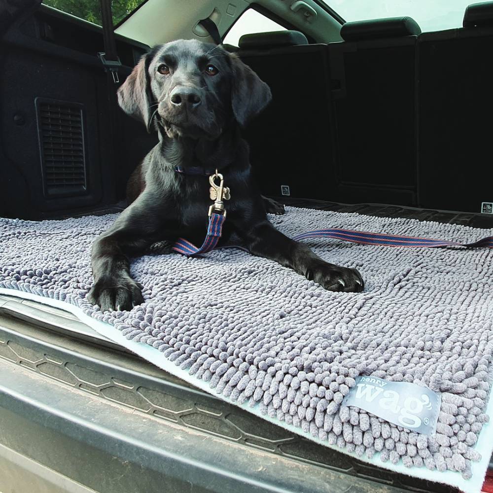 Henry Wag Microfibre Noddle Pet Mat