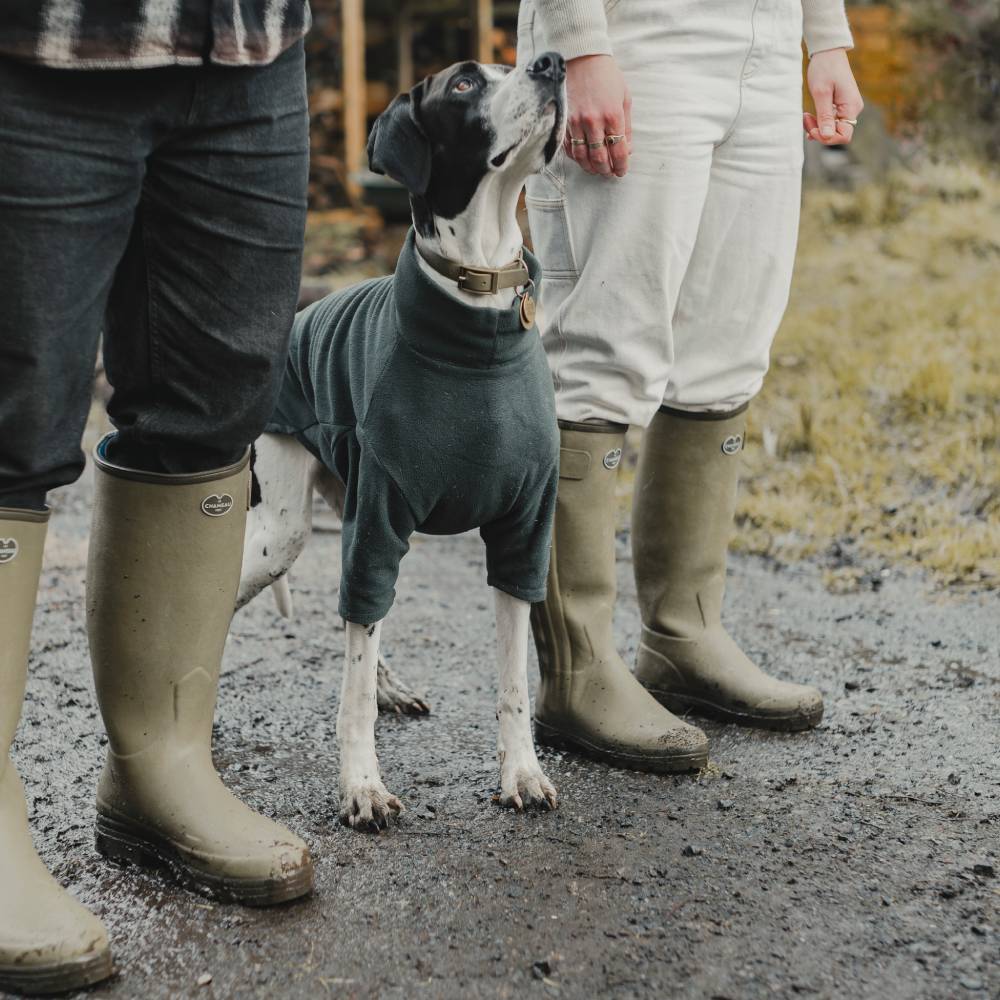 Le Chameau Ladies Chasseur Leather Lined Boot (Vert Vierzon)