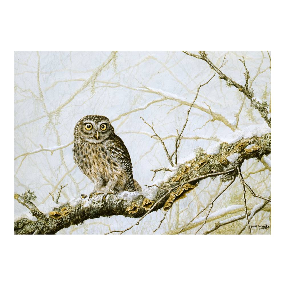 Dick Twinney Greeting Cards