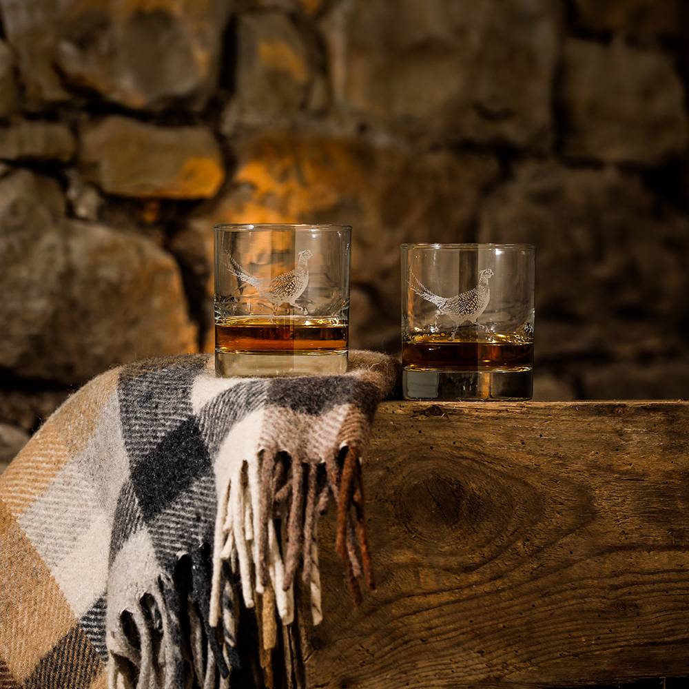 Whiskey Tumbler Glass Set of 2