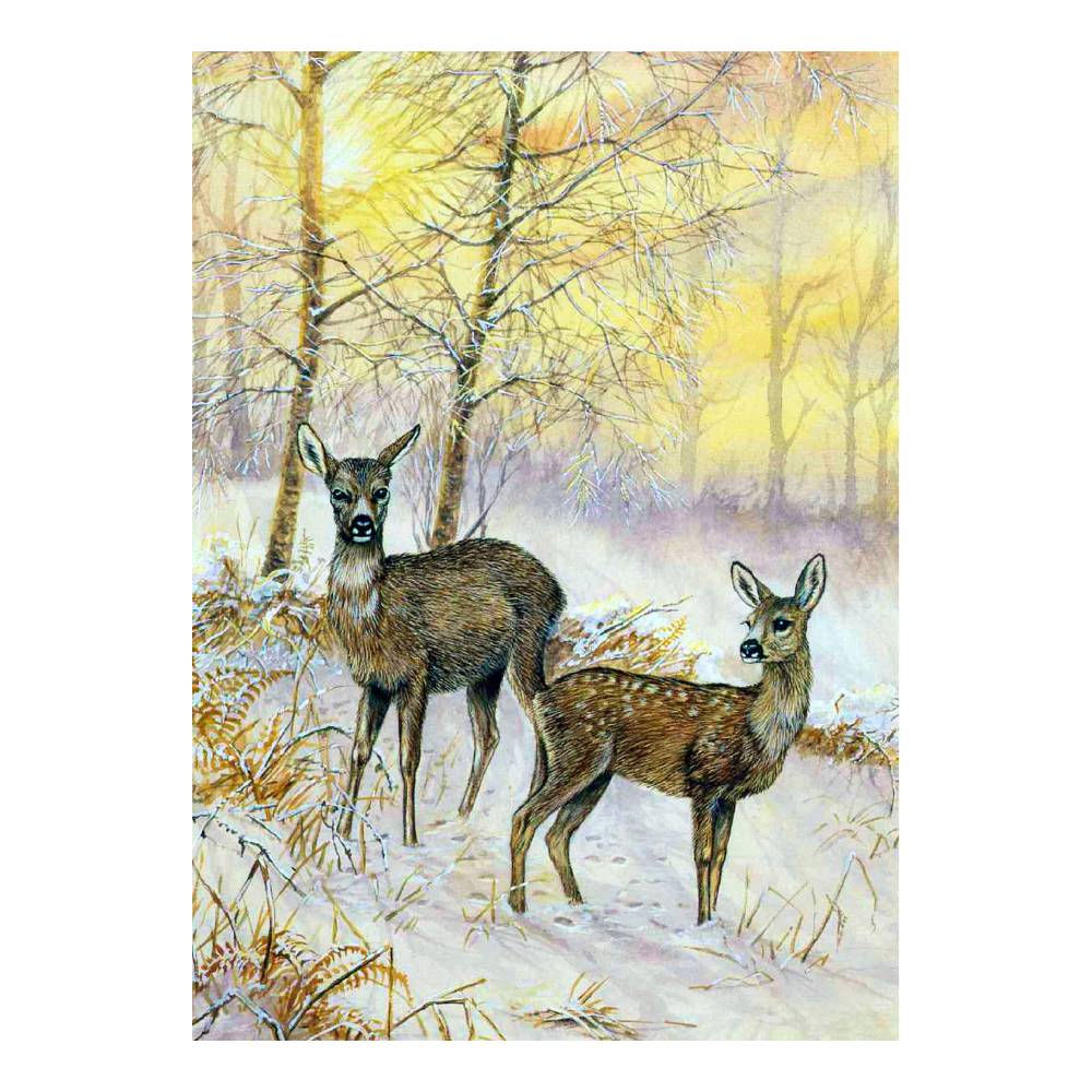 Dick Twinney Greeting Cards