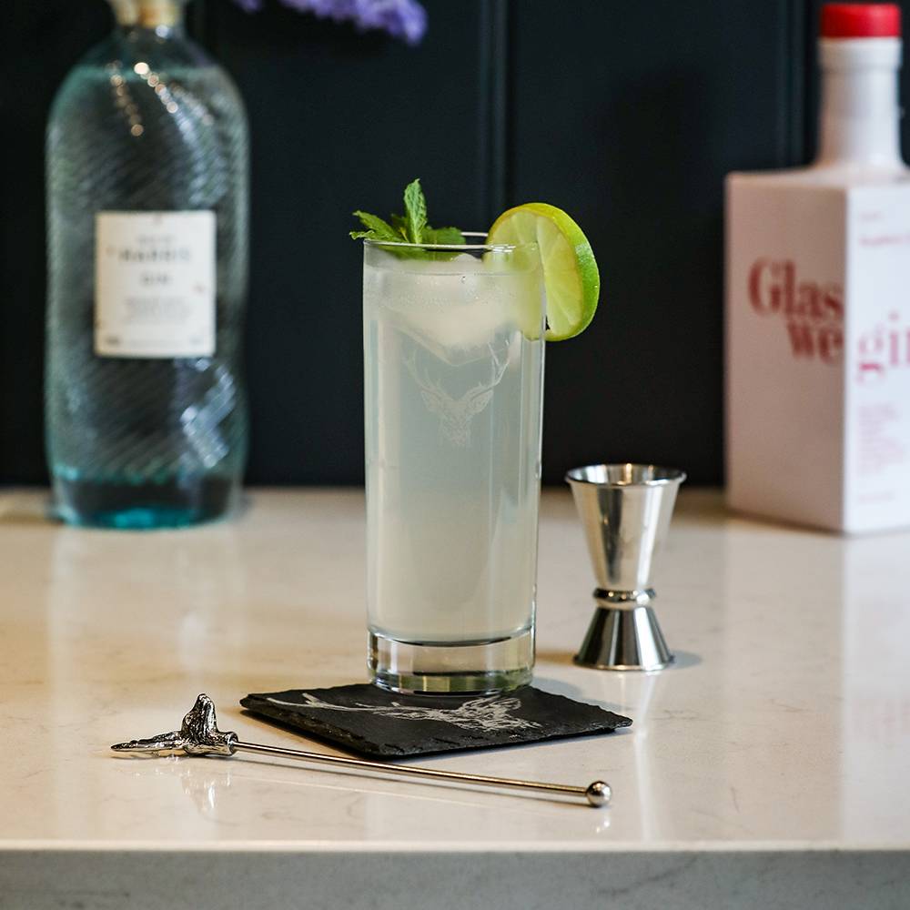 Highball Gin Glass with Engraved Stag