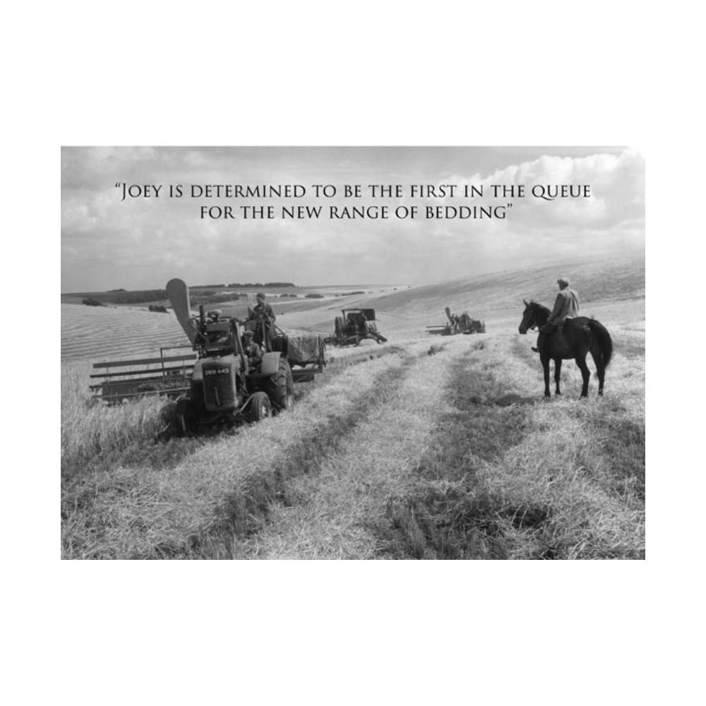 Charles Sainsbury Plaice Photograph Greeting Cards