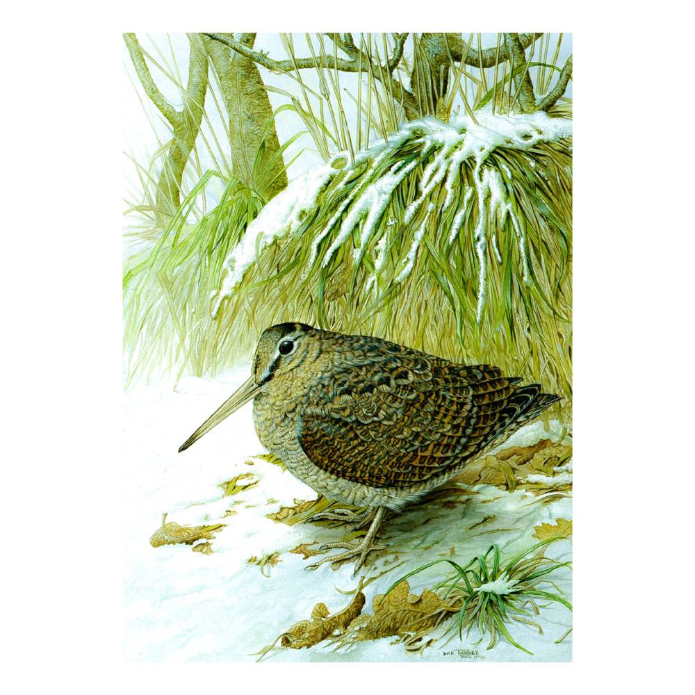 Dick Twinney Greeting Cards