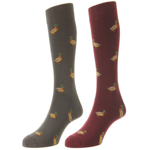 Bisley Duck Socks