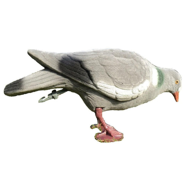 Flocked Pigeon With Legs