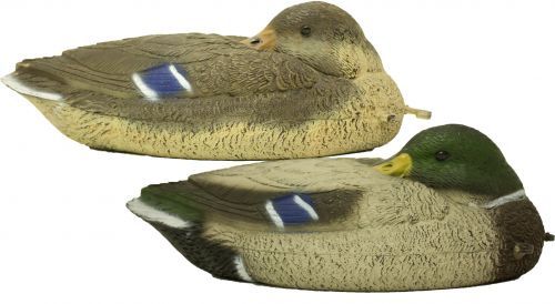 Sport Plast Sleeping Mallard