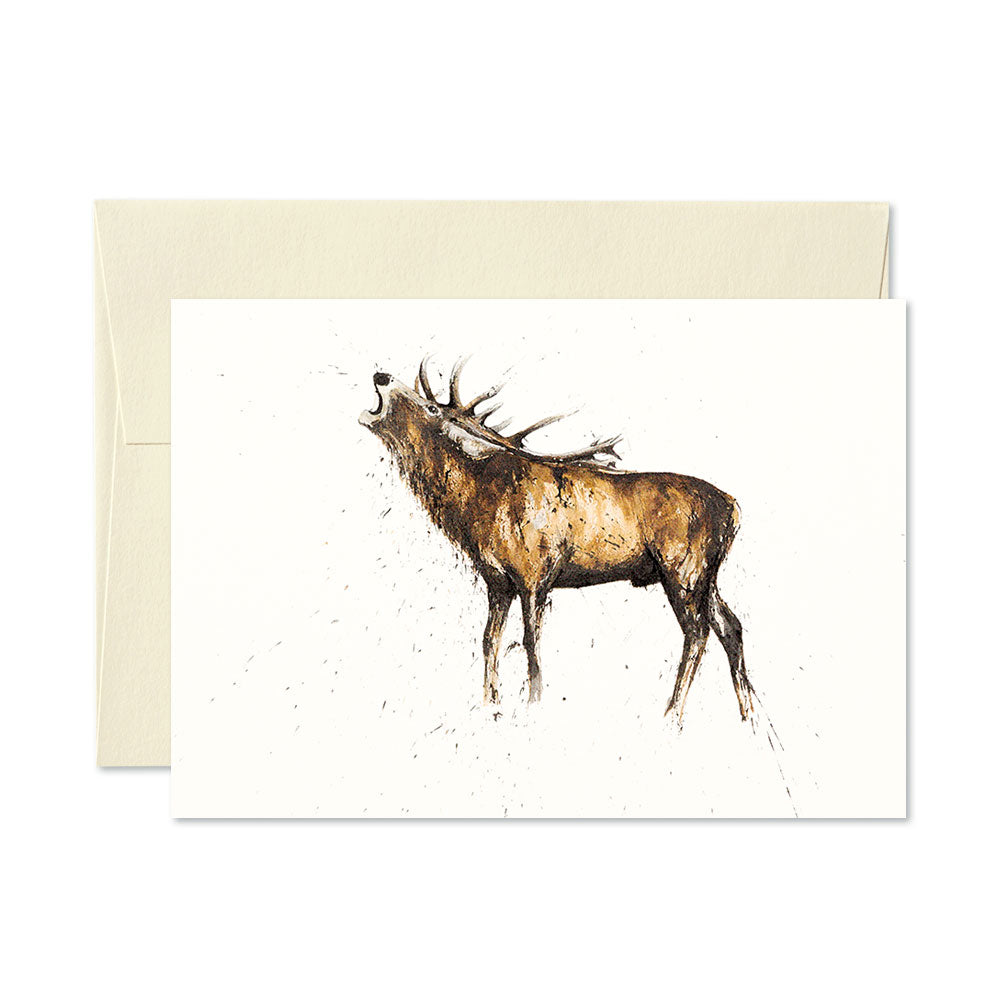 Clare Brownlow Cards