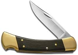Buck Folding Hunter Knife (Collection in Store)