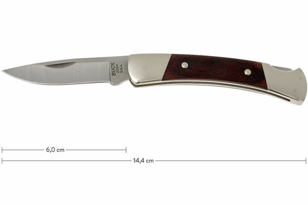 Buck Prince Knife (Collection in Store)