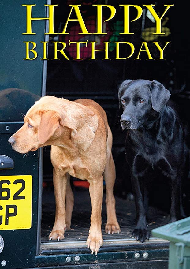 Happy Birthday Cards