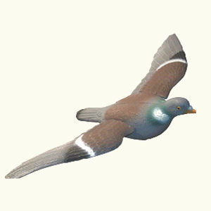 Sport Plast Pigeon Flap Decoy